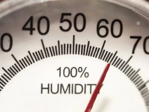 What’s Causing High Humidity in Your Home?